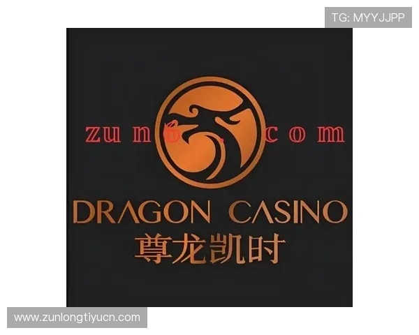 尊龙时凯官方网站入口：官方平台支持多设备登录与操作指南详解