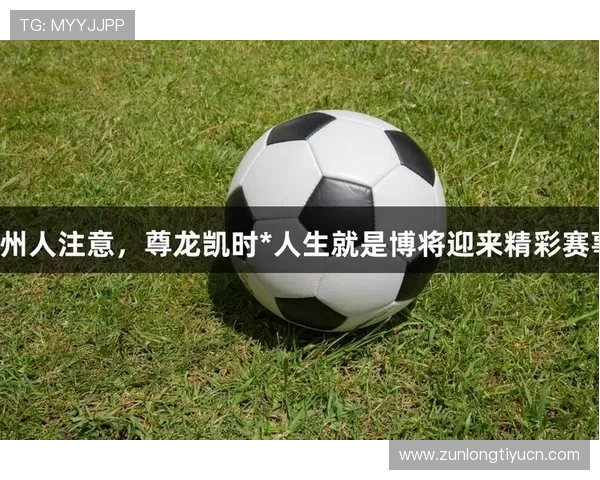 浏览尊龙凯时官网，获取最新游戏资讯与优惠活动